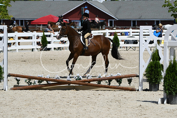 HSM_2984