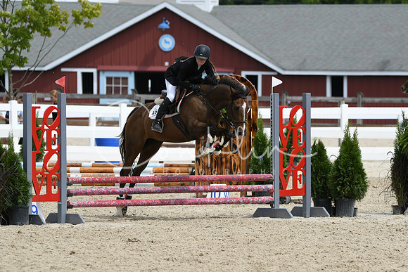 HSM_2618
