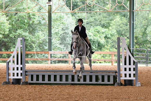 HSM_1262