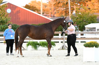 HSM_5709