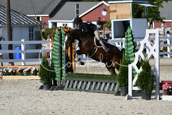 HSM_4328