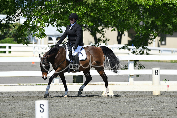 HSM_1293