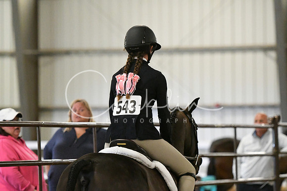 HSM_6521