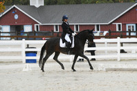 HSM_0884