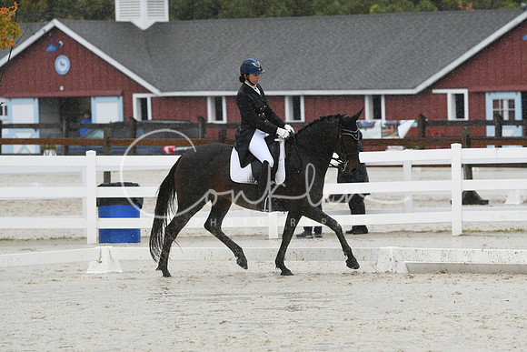 HSM_0884