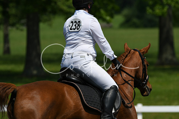 HSM_2193
