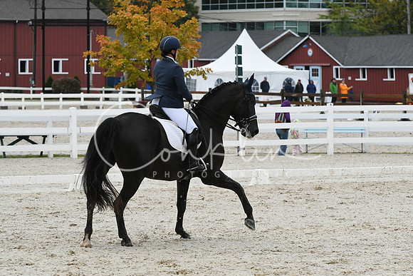 HSM_0660
