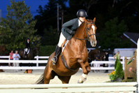 HSM_0590