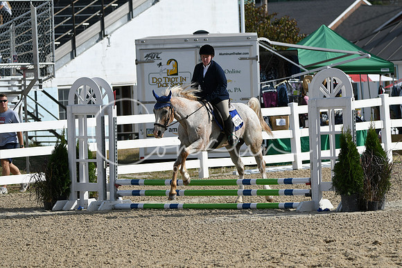 HSM_1558