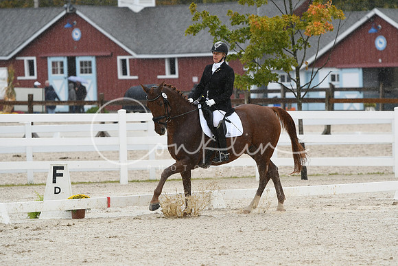 HSM_0379