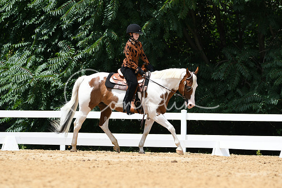 HSM_0538