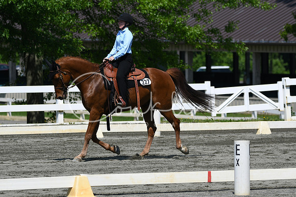 HSM_2739