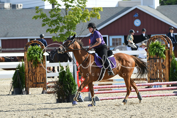 HSM_1637