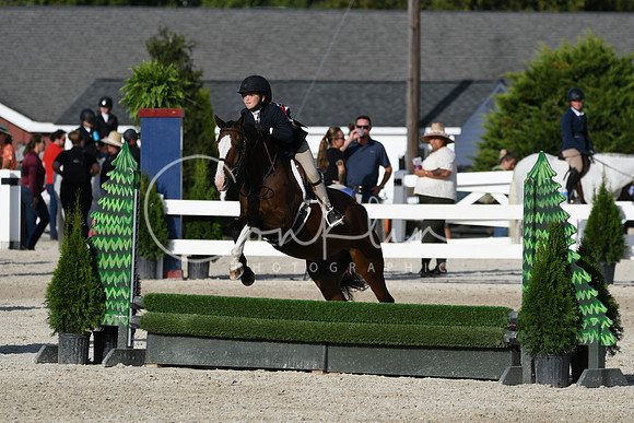 HSM_4378