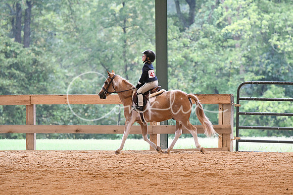 HSM_4223