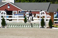 HSM_4211