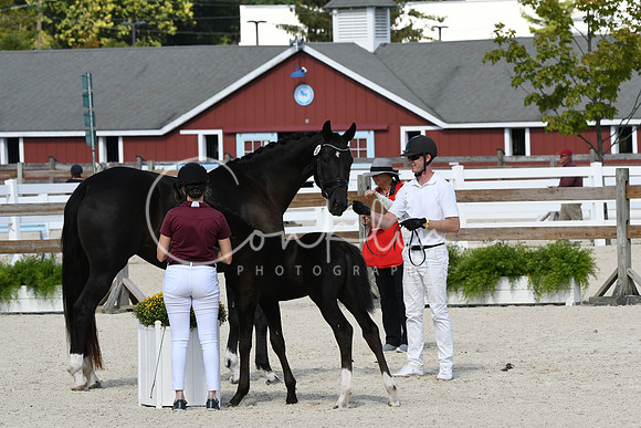 HSM_5199