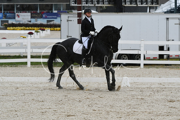 HSM_0428