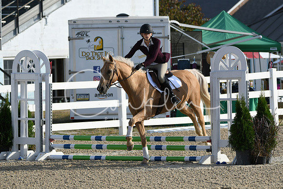 HSM_1279