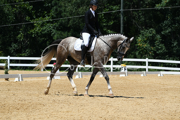 HSM_1450