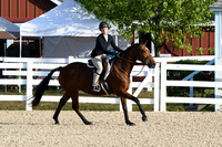 HSM_0085