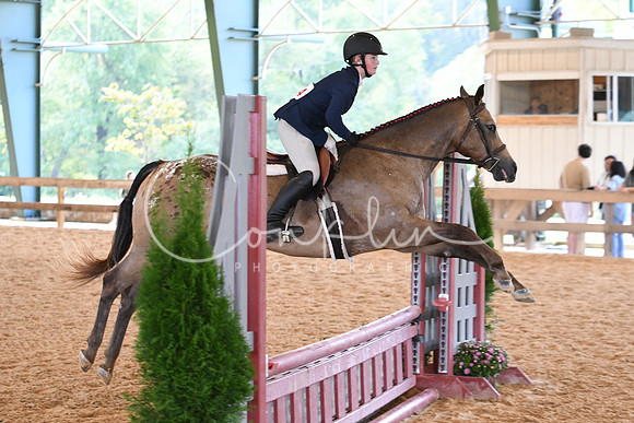 HSM_1036
