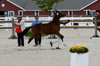 HSM_5364