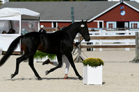 HSM_5165