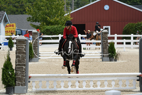 HSM_2557