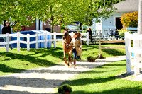 _MDS3981