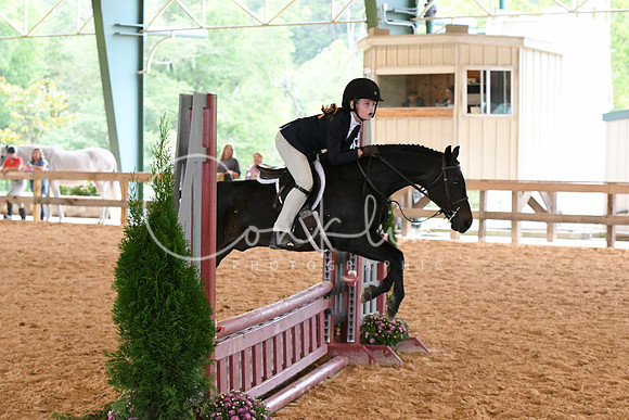 HSM_1373