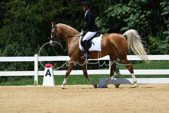 HSM_1411