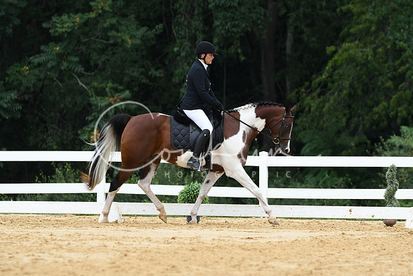 HSM_0420