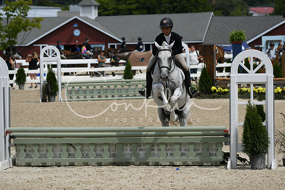 HSM_6930