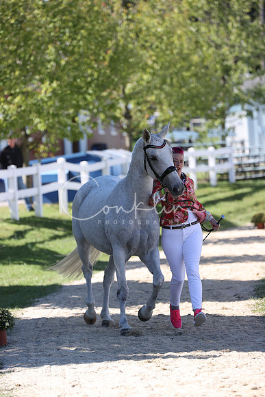 RJC37566