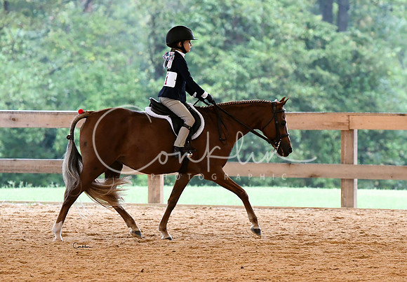 HSM_4260-1