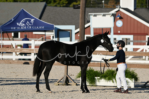 HSM_5579