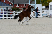 HSM_5362