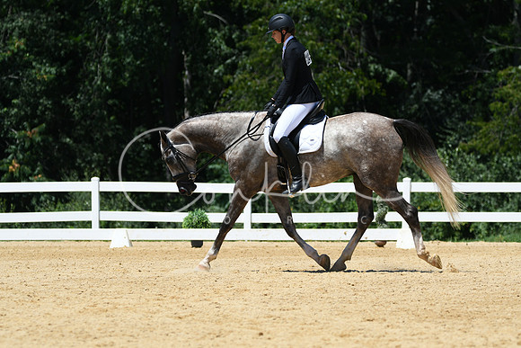 HSM_1466
