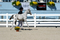 HSM_4445