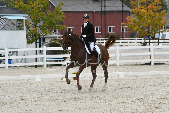 HSM_0387