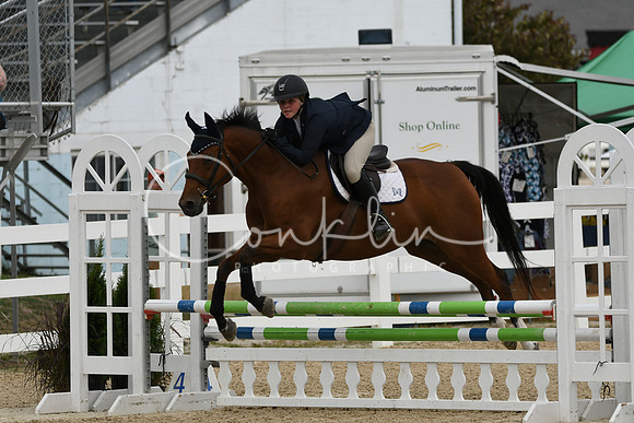 HSM_2910