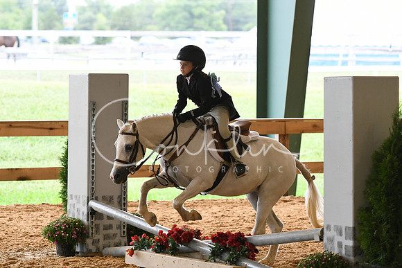HSM_6844