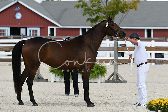 HSM_4896