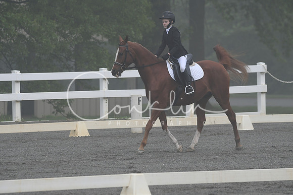 HSM_0768