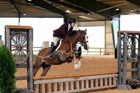HSM_0956-1