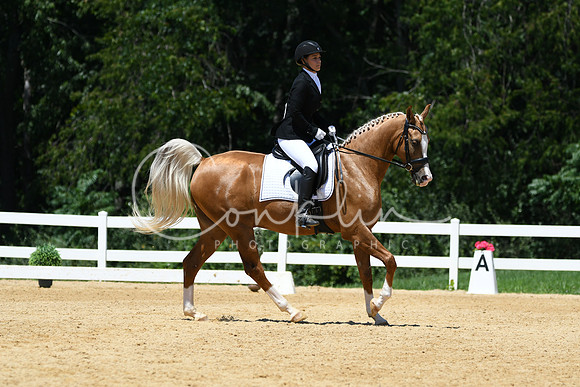 HSM_1405