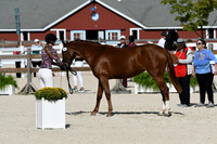 HSM_5189