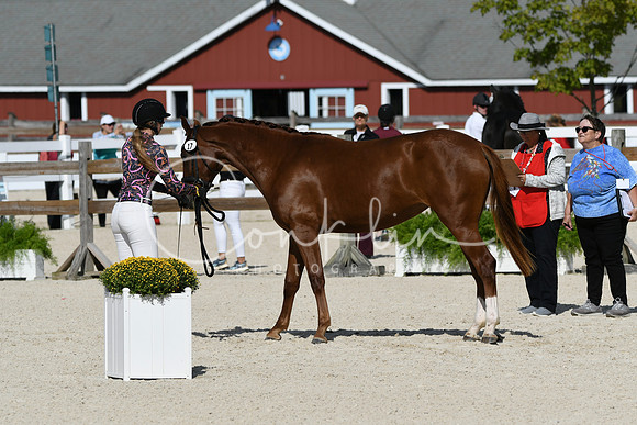 HSM_5189
