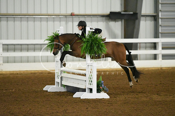 HSM_5973